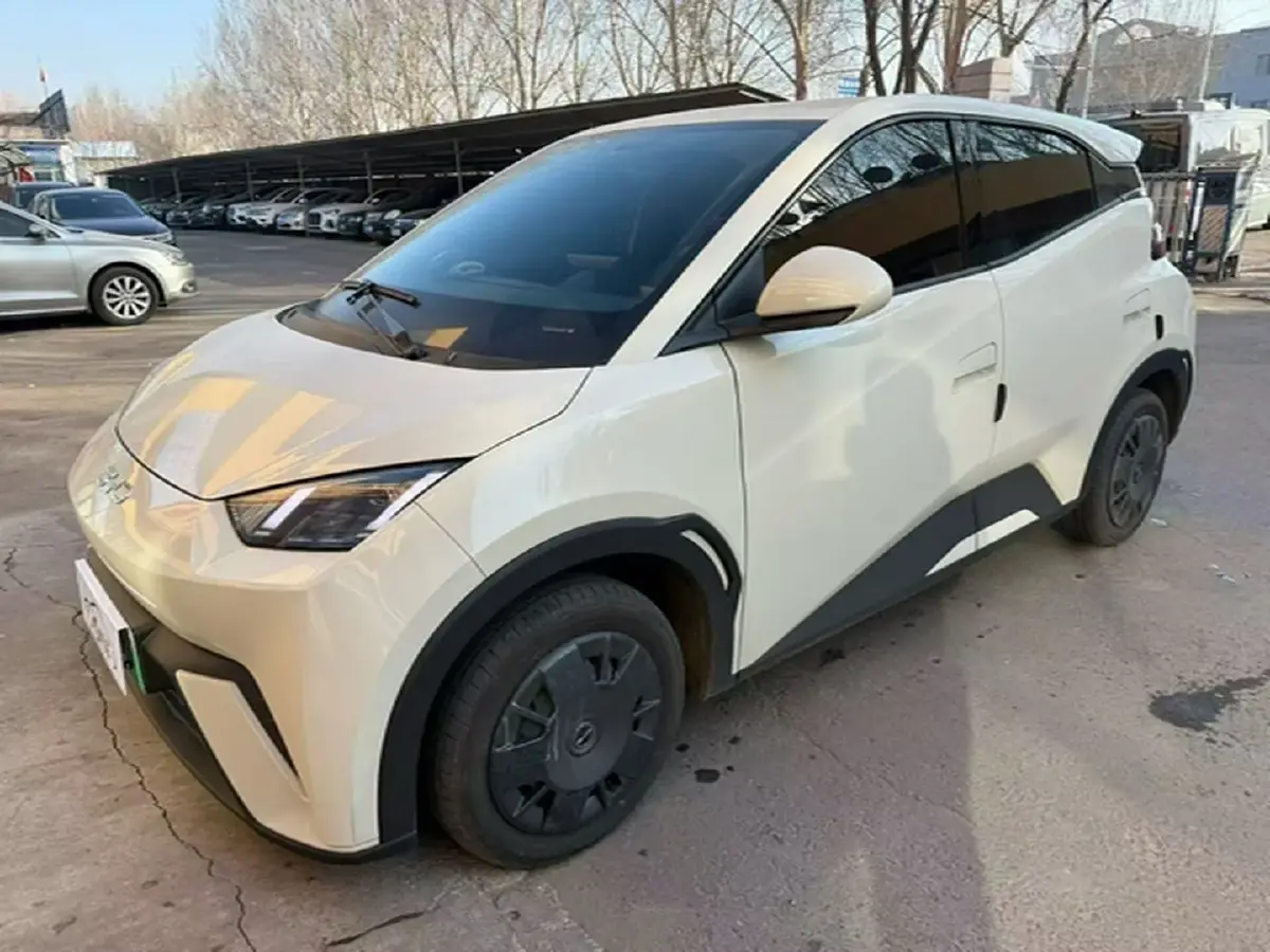 2023 BYD Seagull BEV 30.08KWH
