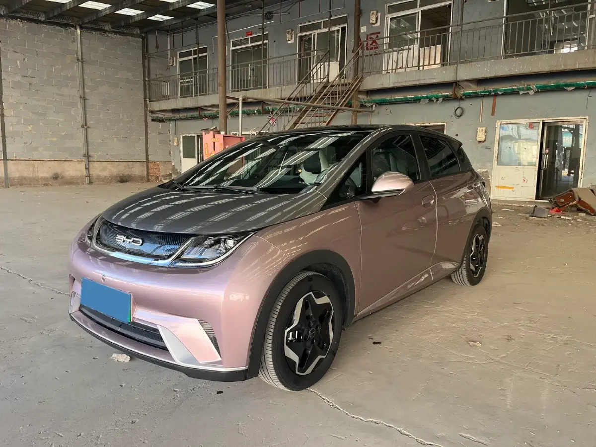 2021 BYD Yuan Pro BEV 50.1KWH