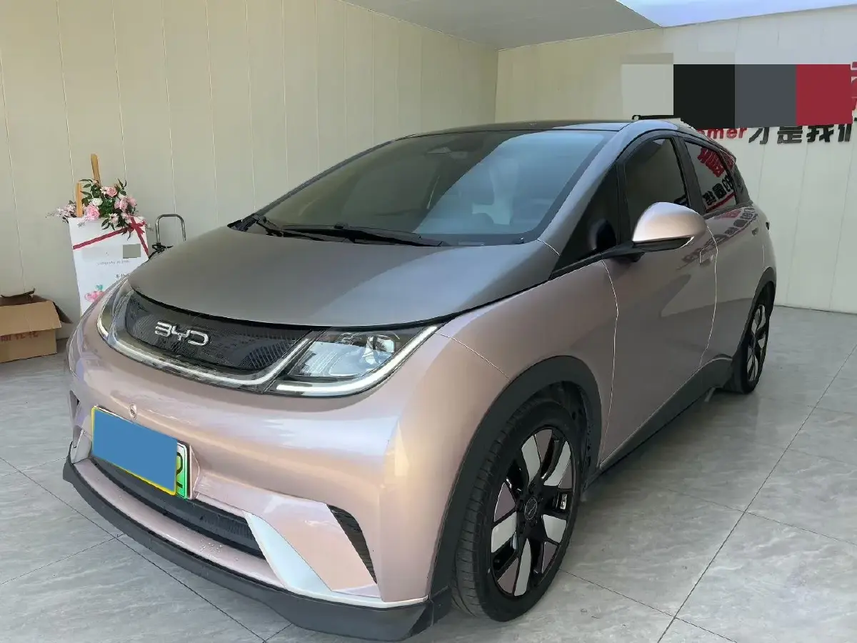 2023 BYD Dolphin BEV 44.928KWH