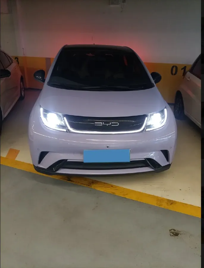 2023 BYD Dolphin BEV 44.928KWH,autocango,china used car exporter,china ev exporter,chinese used car exporter,chinese used ev exporter
