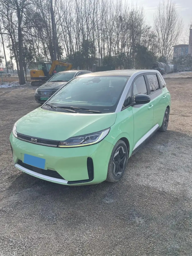 2021 BYD Qin Plus BEV 57KWH