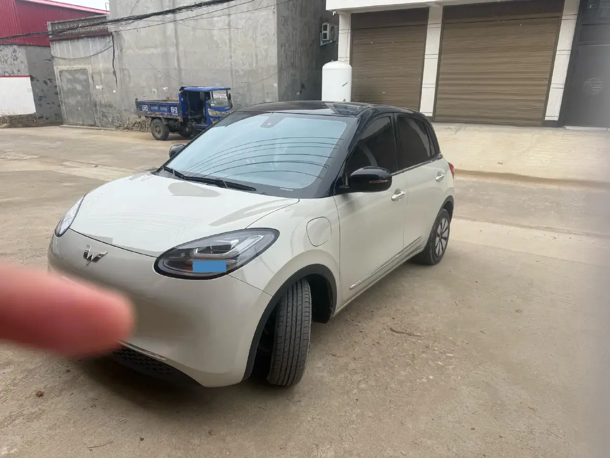 2023 WuLing BinGuo BEV 31.9KWH