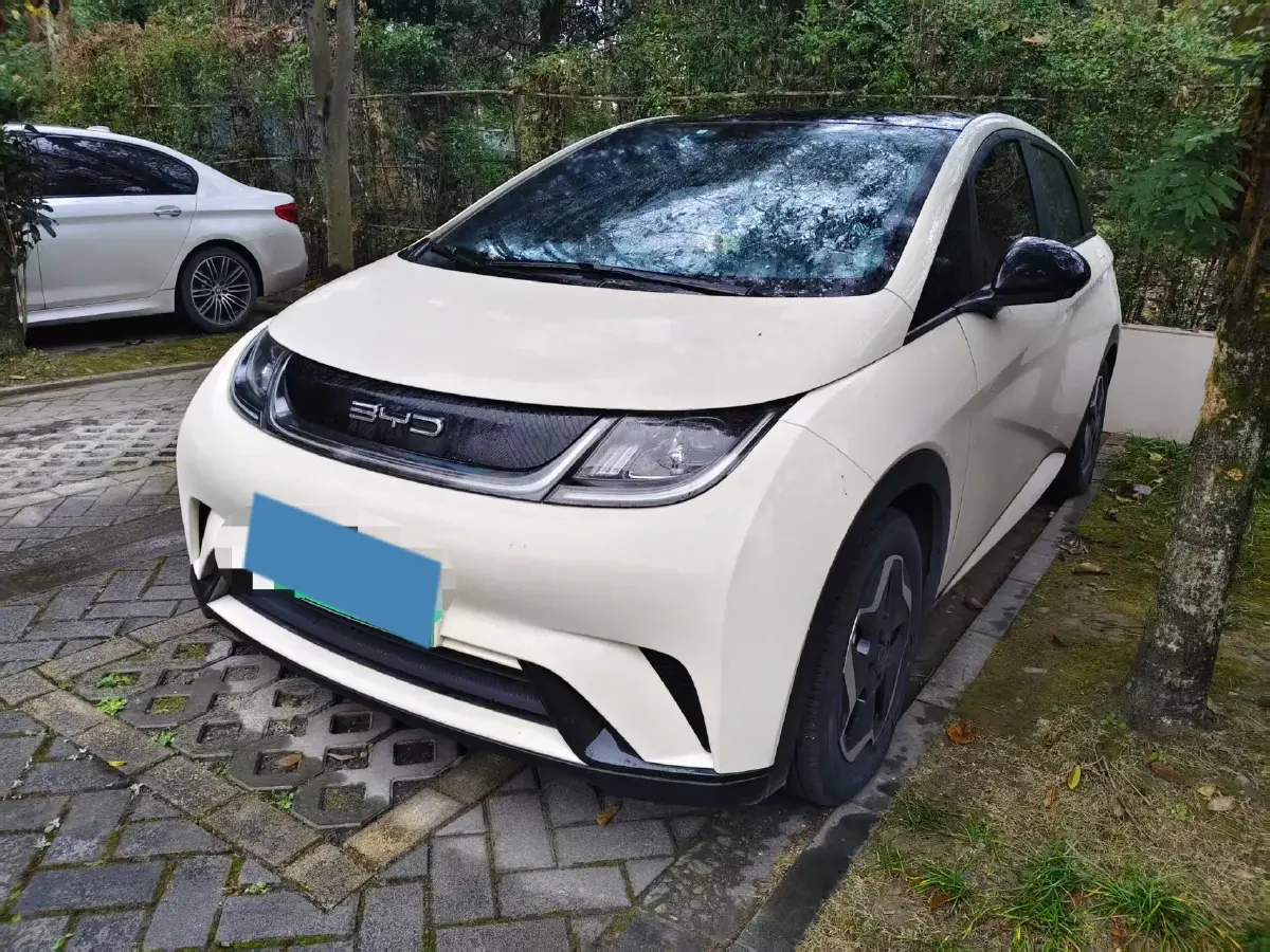 2021 BYD Yuan Pro BEV 50.1KWH