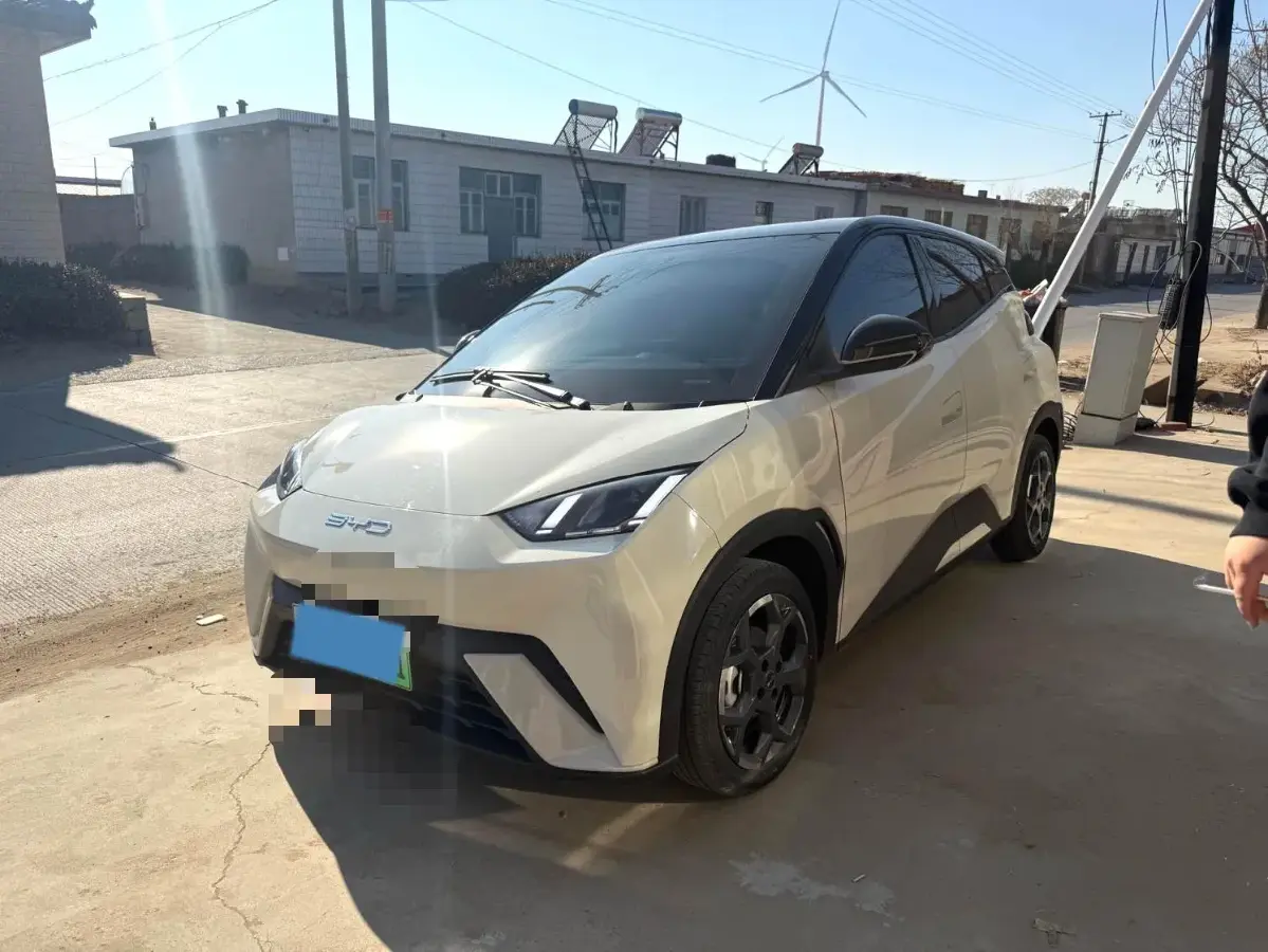 2024 BYD Seagull BEV 30.08KWH