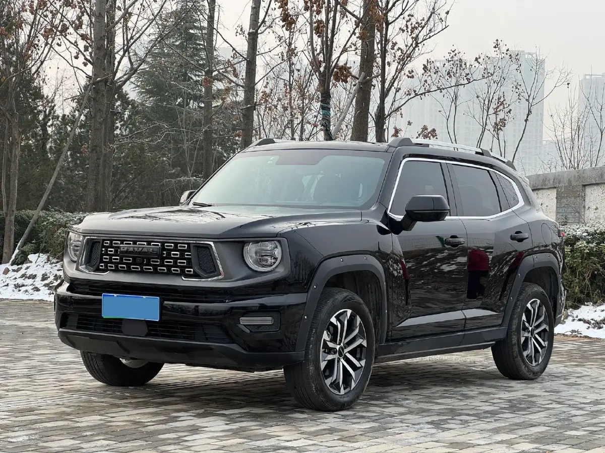 2023 Haval Dargo PLUS 2.0T 238HP L4 9DCT