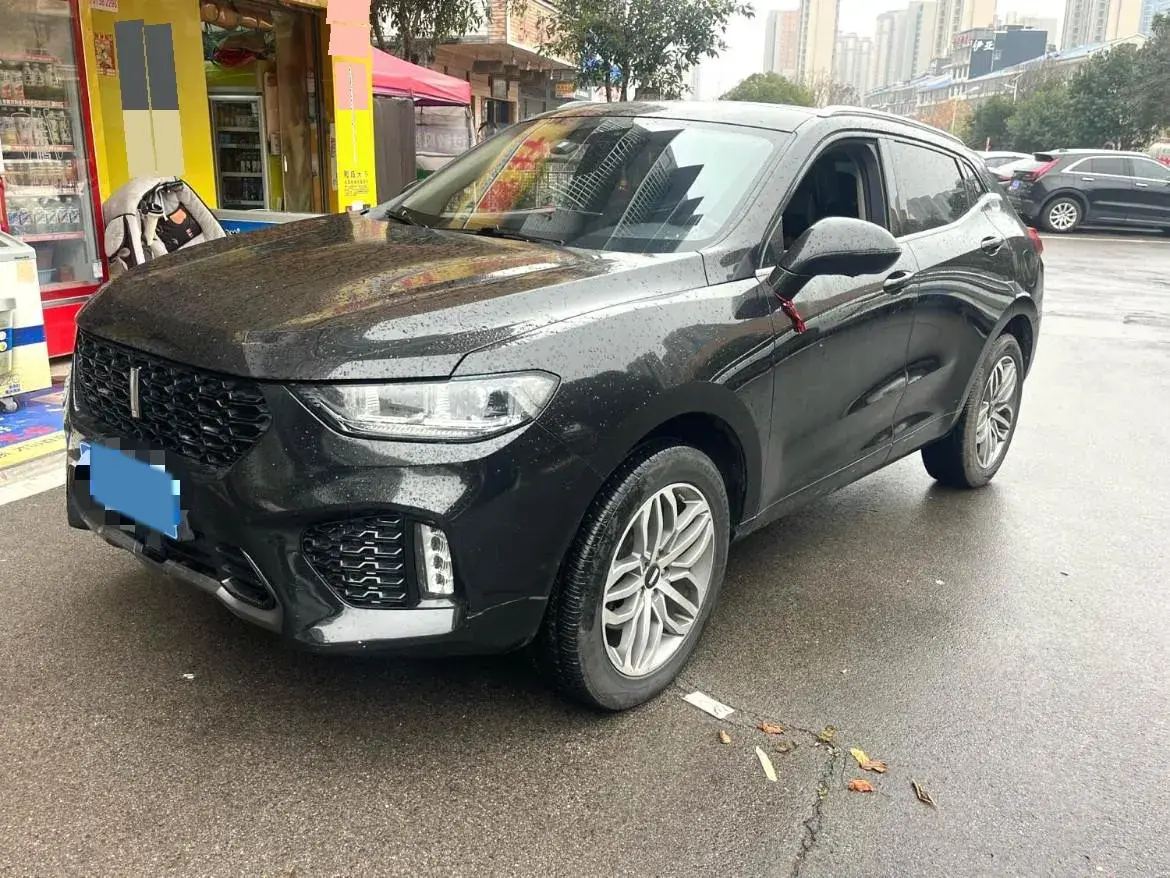 2019 WEY VV5 2.0T 224HP L4 7DCT