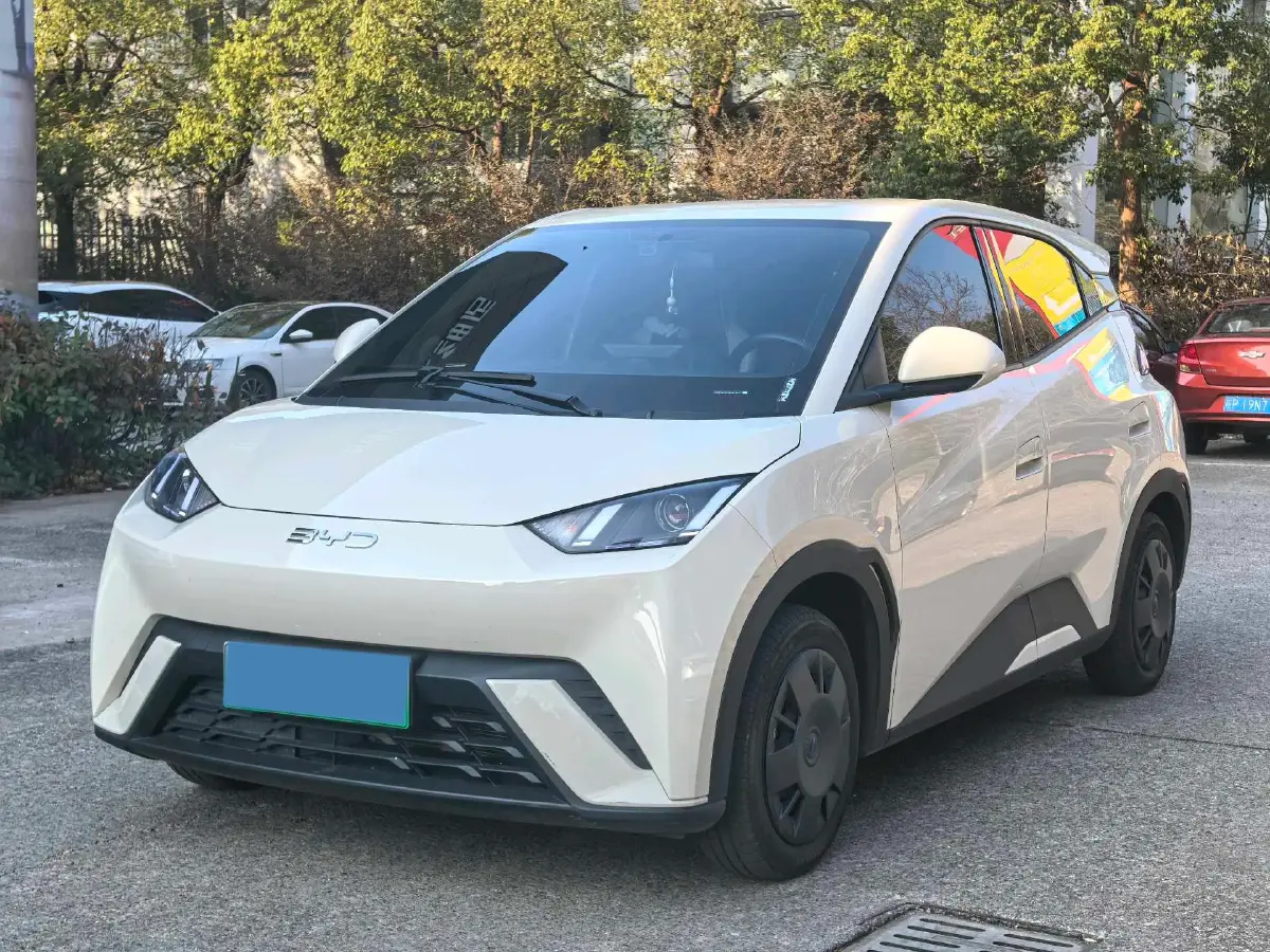 2025 BYD Seagull BEV 30.08KWH