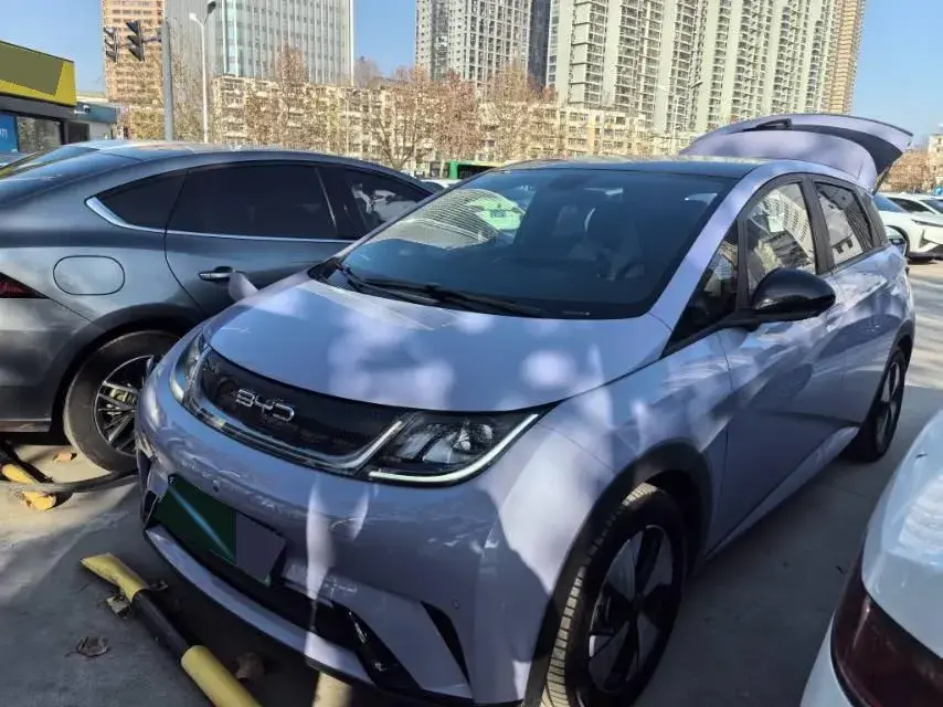 2023 BYD Dolphin BEV 44.928KWH