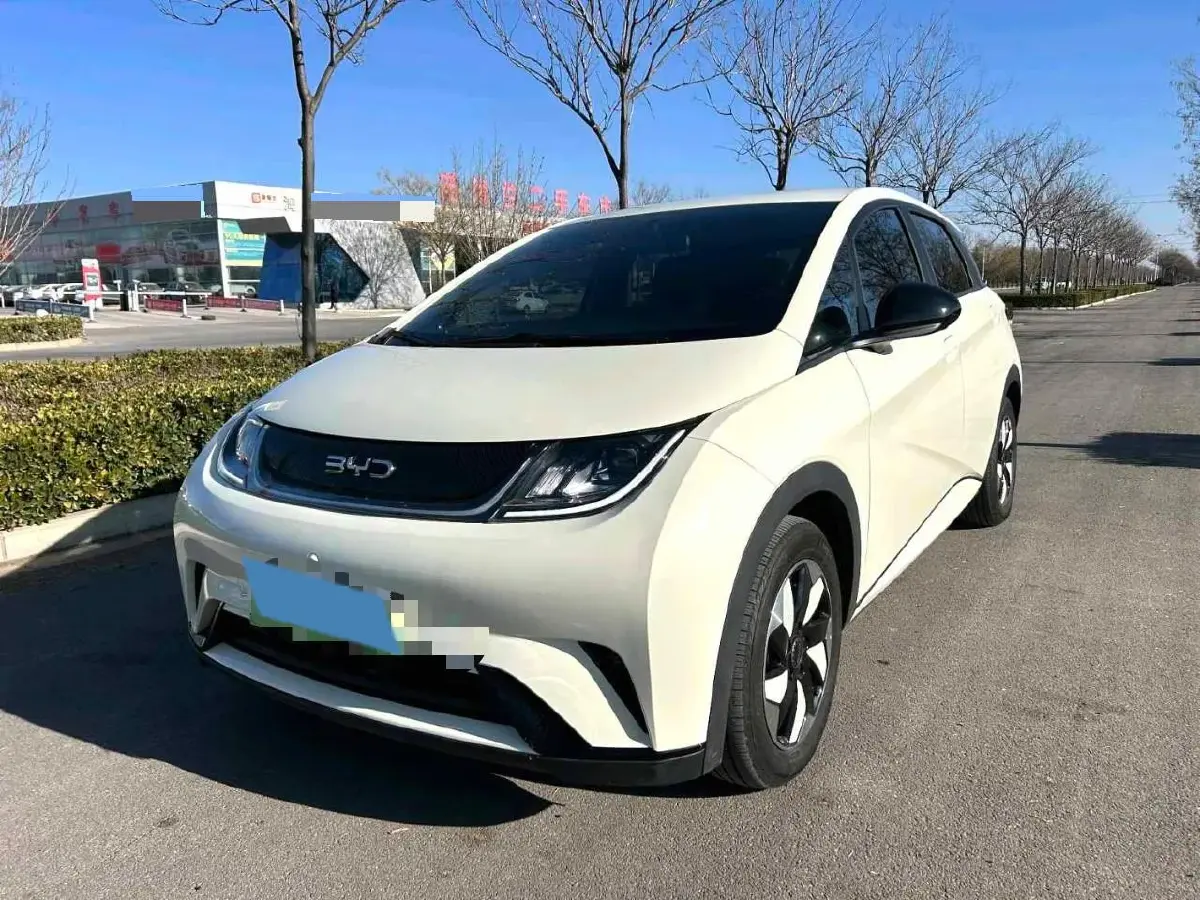 2024 BYD Dolphin BEV 44.928KWH