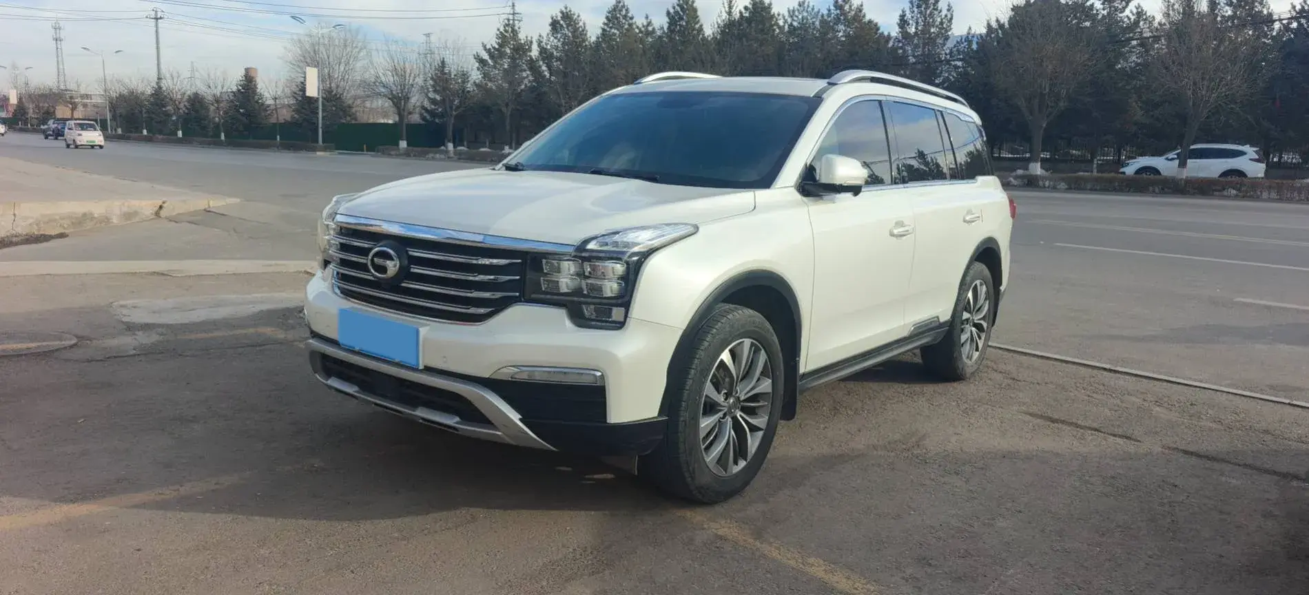2019 GAC Trumpchi GS8 2.0T 252HP L4 6AT