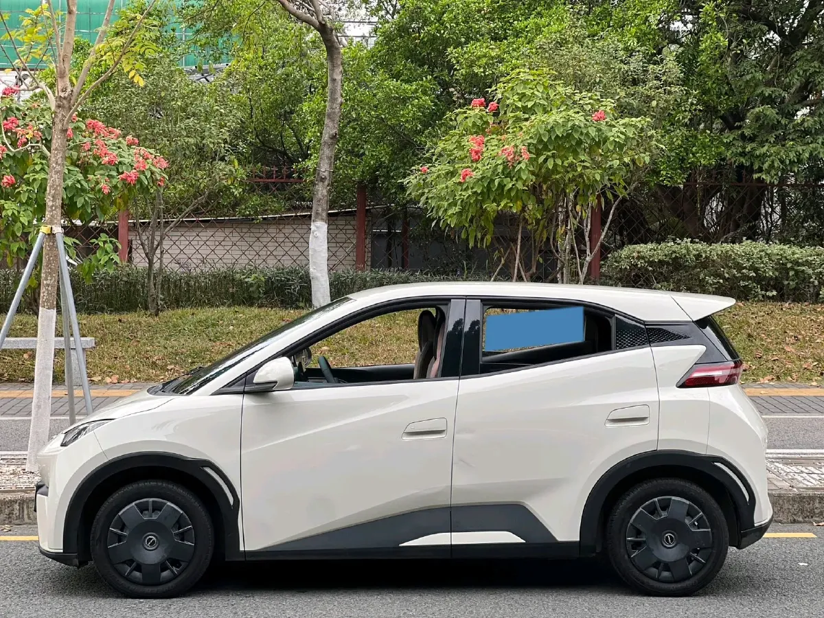 2023 BYD Seagull BEV 30.08KWH,autocango,china used car exporter,china ev exporter,chinese used car exporter,chinese used ev exporter