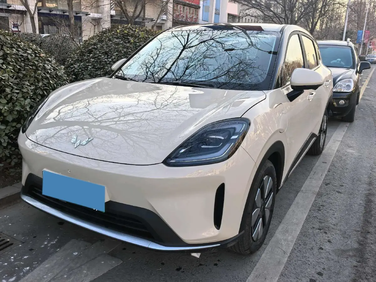 2025 WuLing HongGuang New Energy REEV 99HP REEV