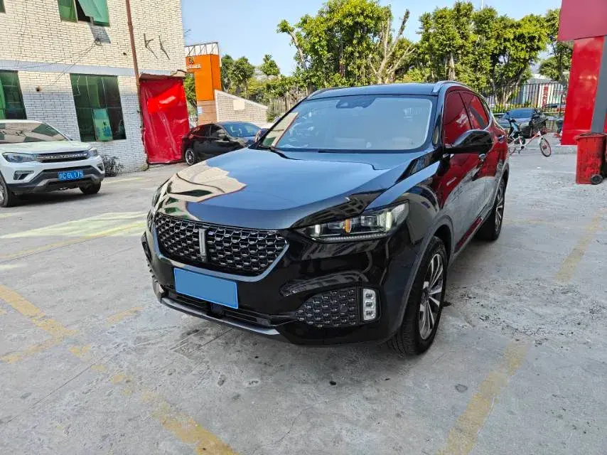 2020 WEY VV6 2.0T 227HP L4 7DCT