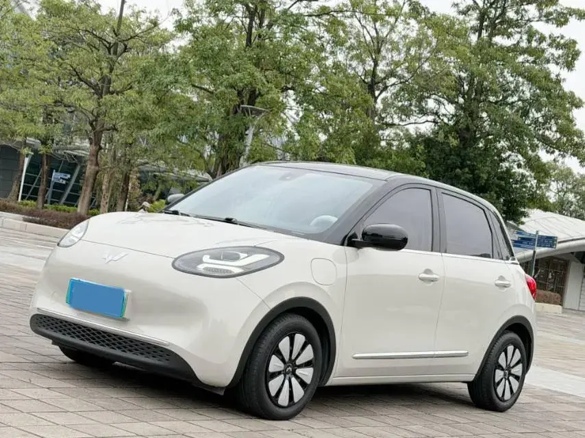 2023 WuLing BinGuo BEV 31.9KWH