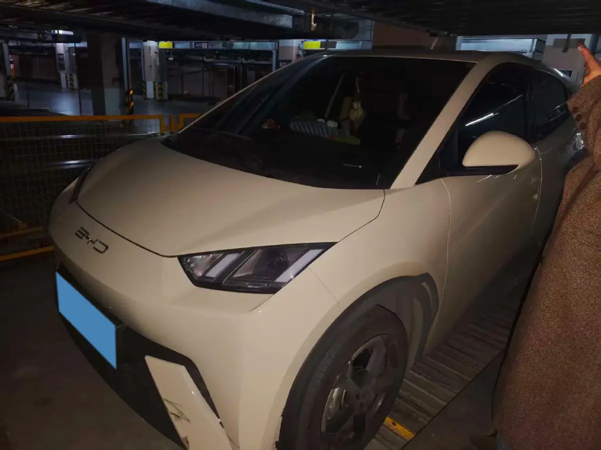 2023 BYD Yuan Pro BEV 38KWH