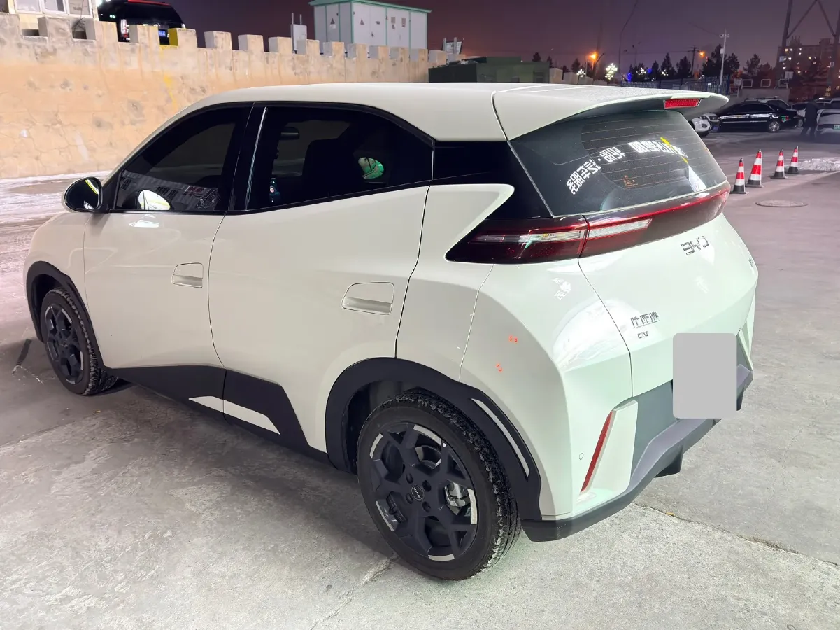 2025 BYD Seagull BEV 38.88KWH,autocango,china used car exporter,china ev exporter,chinese used car exporter,chinese used ev exporter