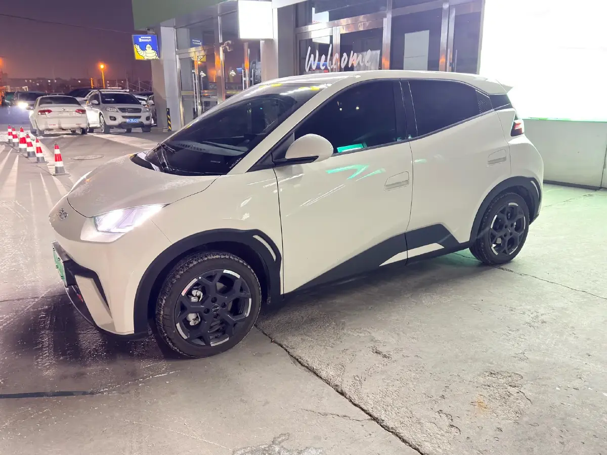 2025 BYD Seagull BEV 38.88KWH