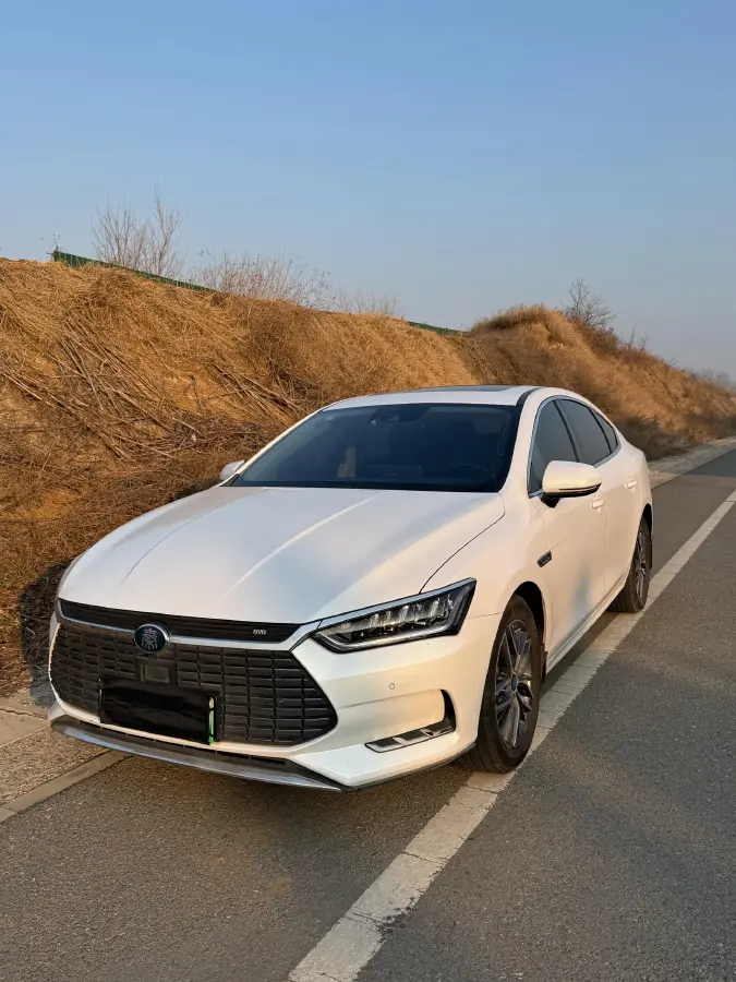 2019 BYD Qin Pro BEV 56.4KWH