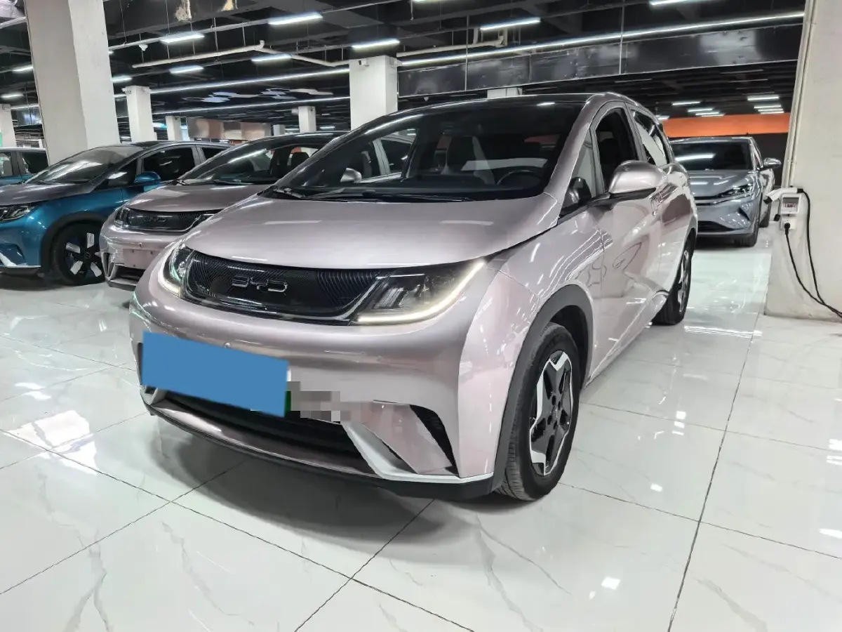 2021 BYD Yuan Pro BEV 50.1KWH