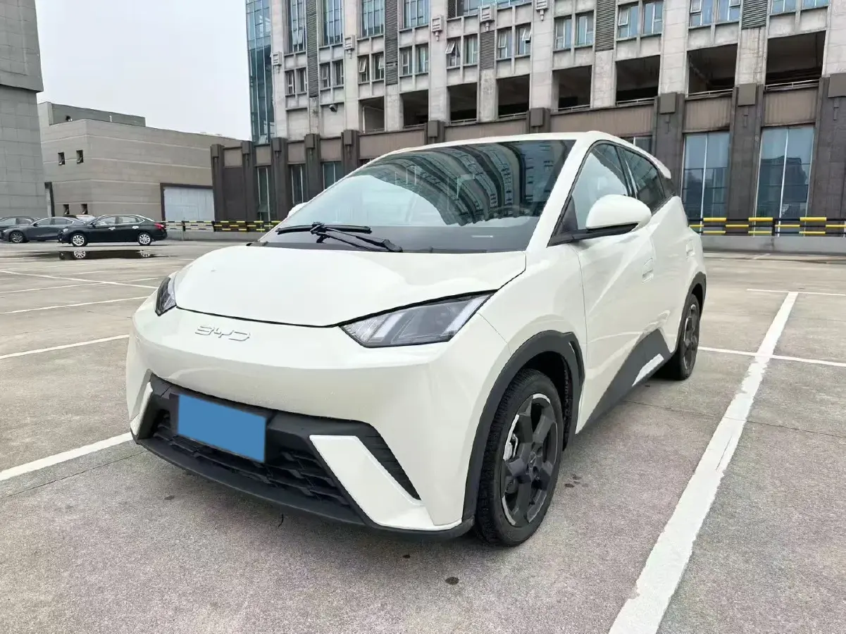 2023 BYD Yuan Pro BEV 38KWH