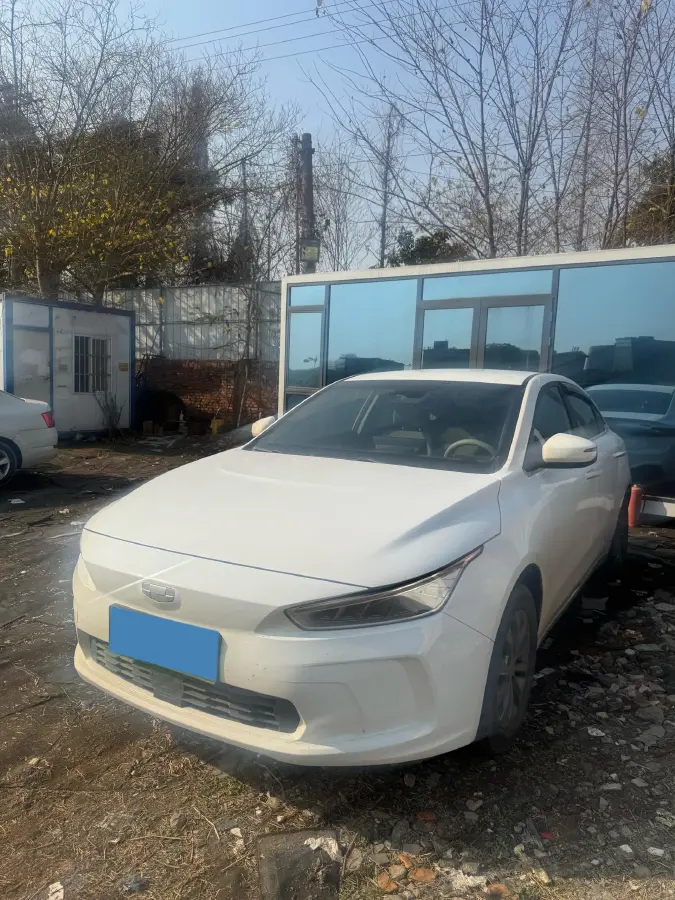 2019 Geometry A BEV 51.9KWH