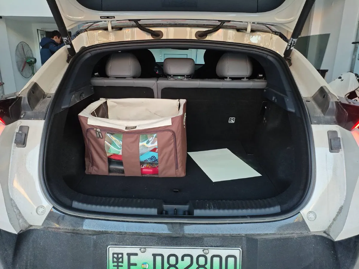 2025 Dongfeng Z9 2.0T 258HP L4 8AT,autocango,china used car exporter,china ev exporter,chinese used car exporter,chinese used ev exporter