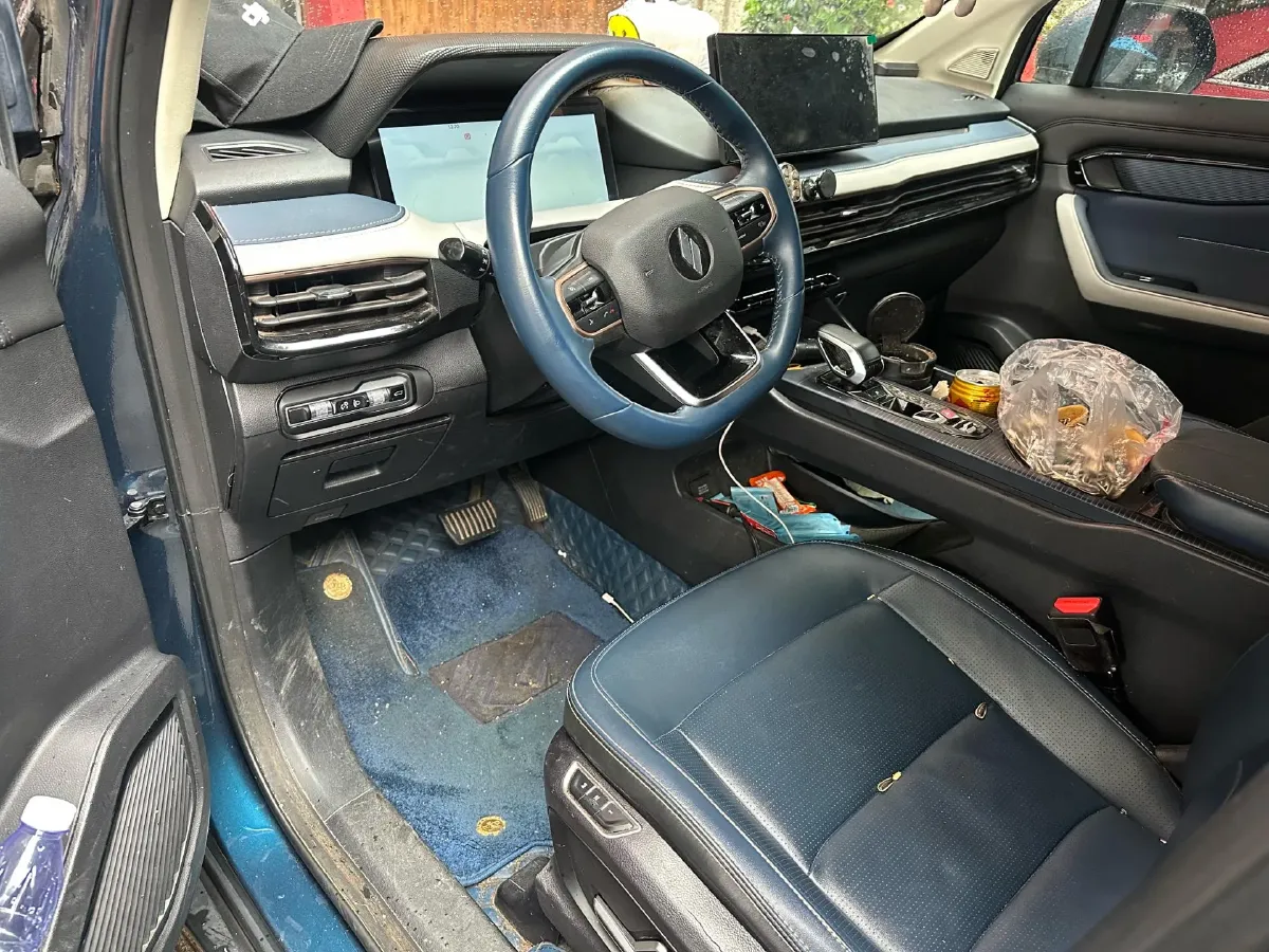 2023 Livan 9 BEV 66.57KWH,autocango,china used car exporter,china ev exporter,chinese used car exporter,chinese used ev exporter