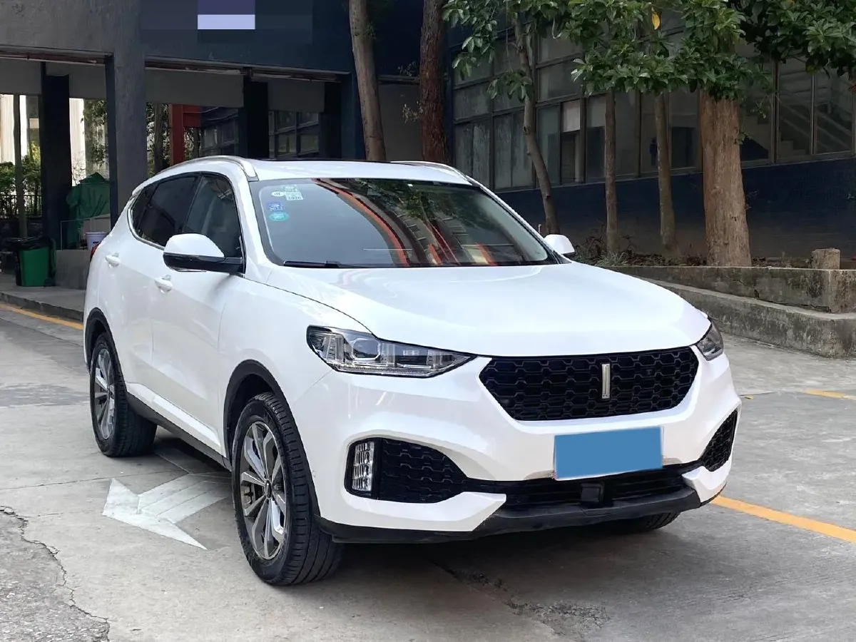 2019 WEY VV6 2.0T 224HP L4 7DCT,autocango,china used car exporter,china ev exporter,chinese used car exporter,chinese used ev exporter