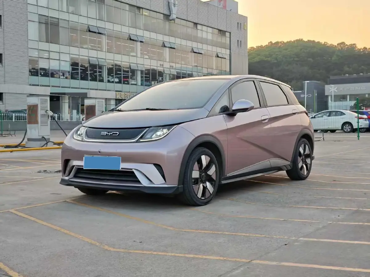 2021 BYD Dolphin BEV 44.9KWH