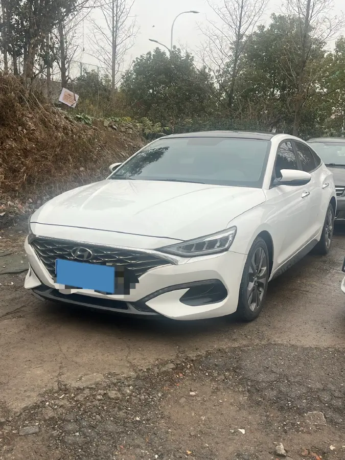 2019 Hyundai La Festa 1.6T 204HP L4 7DCT