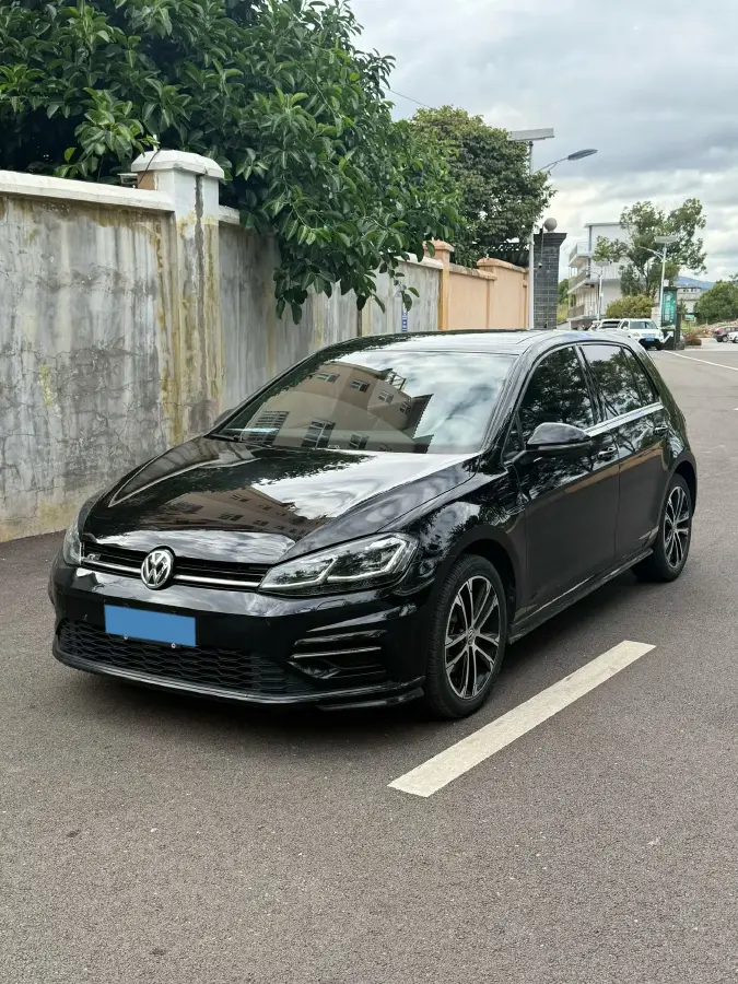 2019 BYD Song MAX 1.5T 160HP L4 6DCT PHEV 15.98KWH