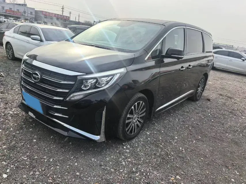 2021 GAC Trumpchi M8 2.0T 252HP L4 8AT