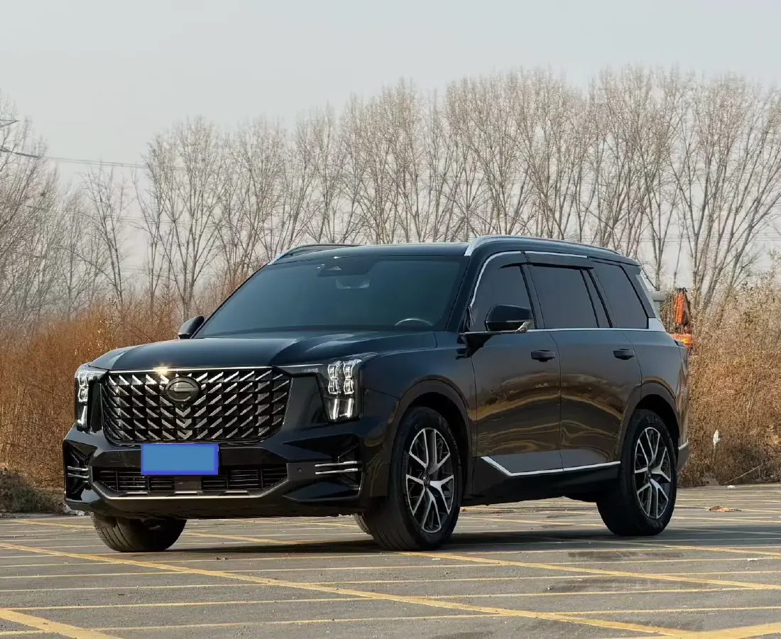 2022 GAC Trumpchi GS8 2.0T 252HP L4 8AT