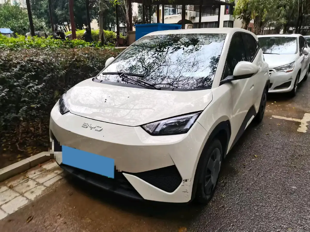 2025 BYD Seagull BEV 30.08KWH