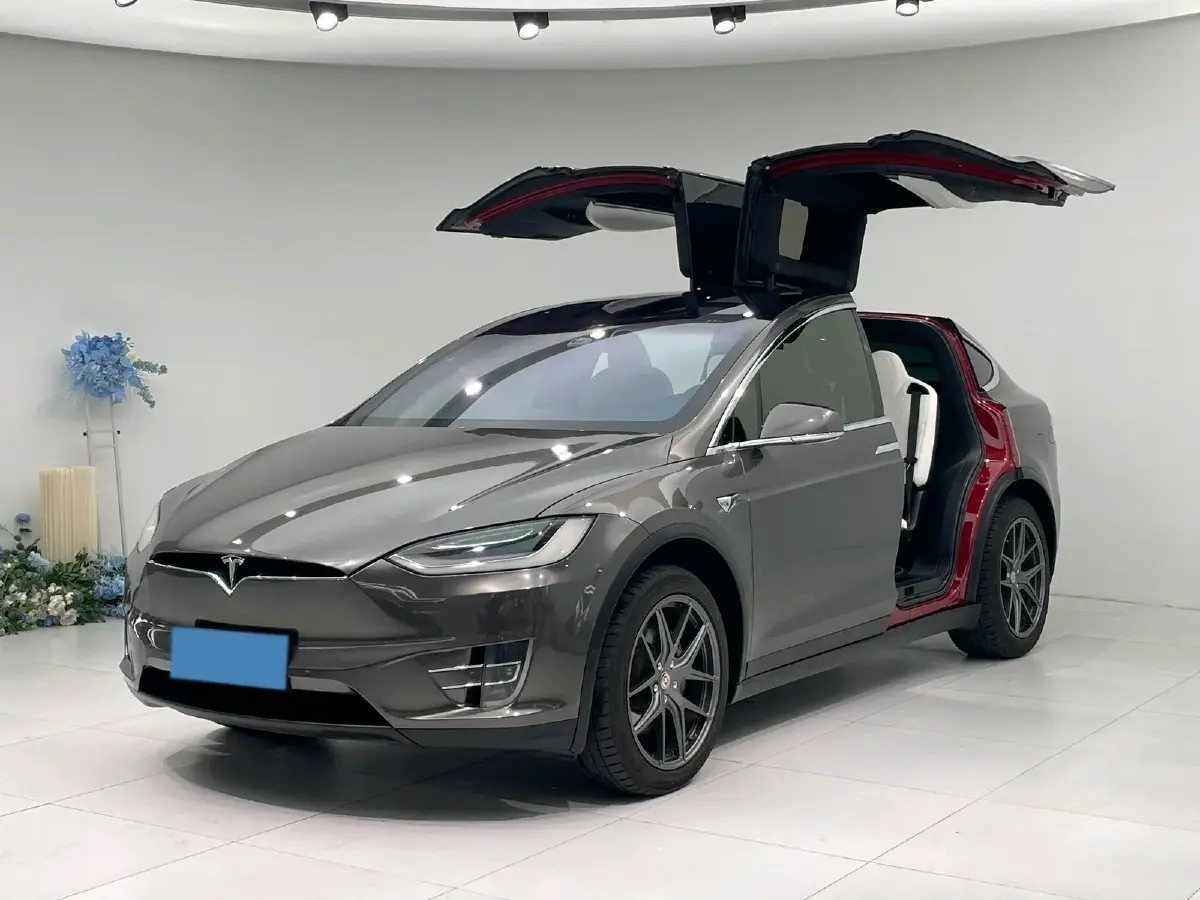 2019 Tesla Model X BEV 100KWH