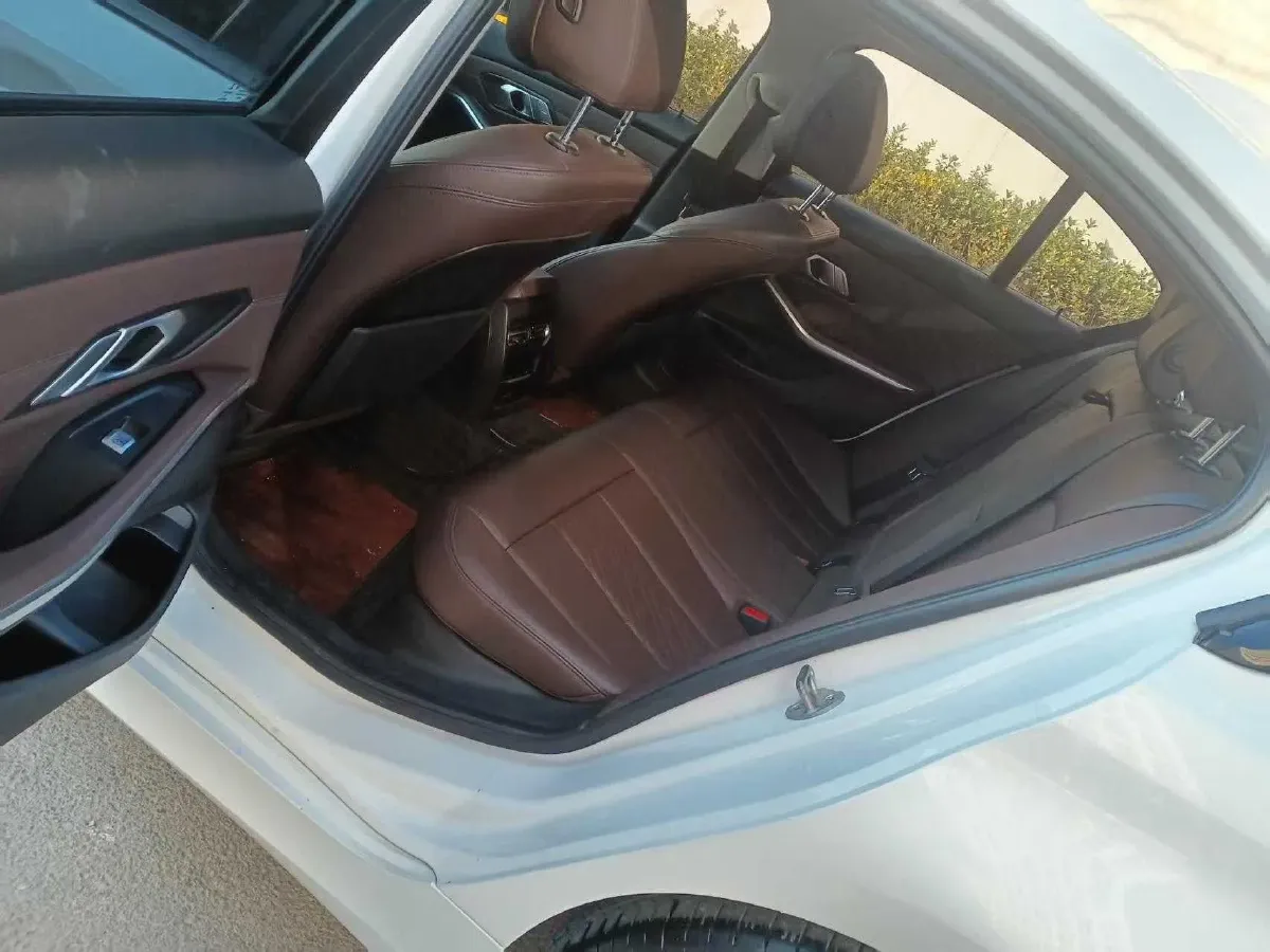 2022 BMW 3 Series 2.0T 156HP L4 8AT,autocango,china used car exporter,china ev exporter,chinese used car exporter,chinese used ev exporter