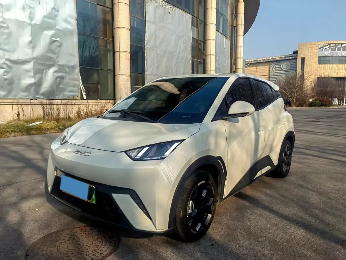 2025 BYD Seagull BEV 30.08KWH