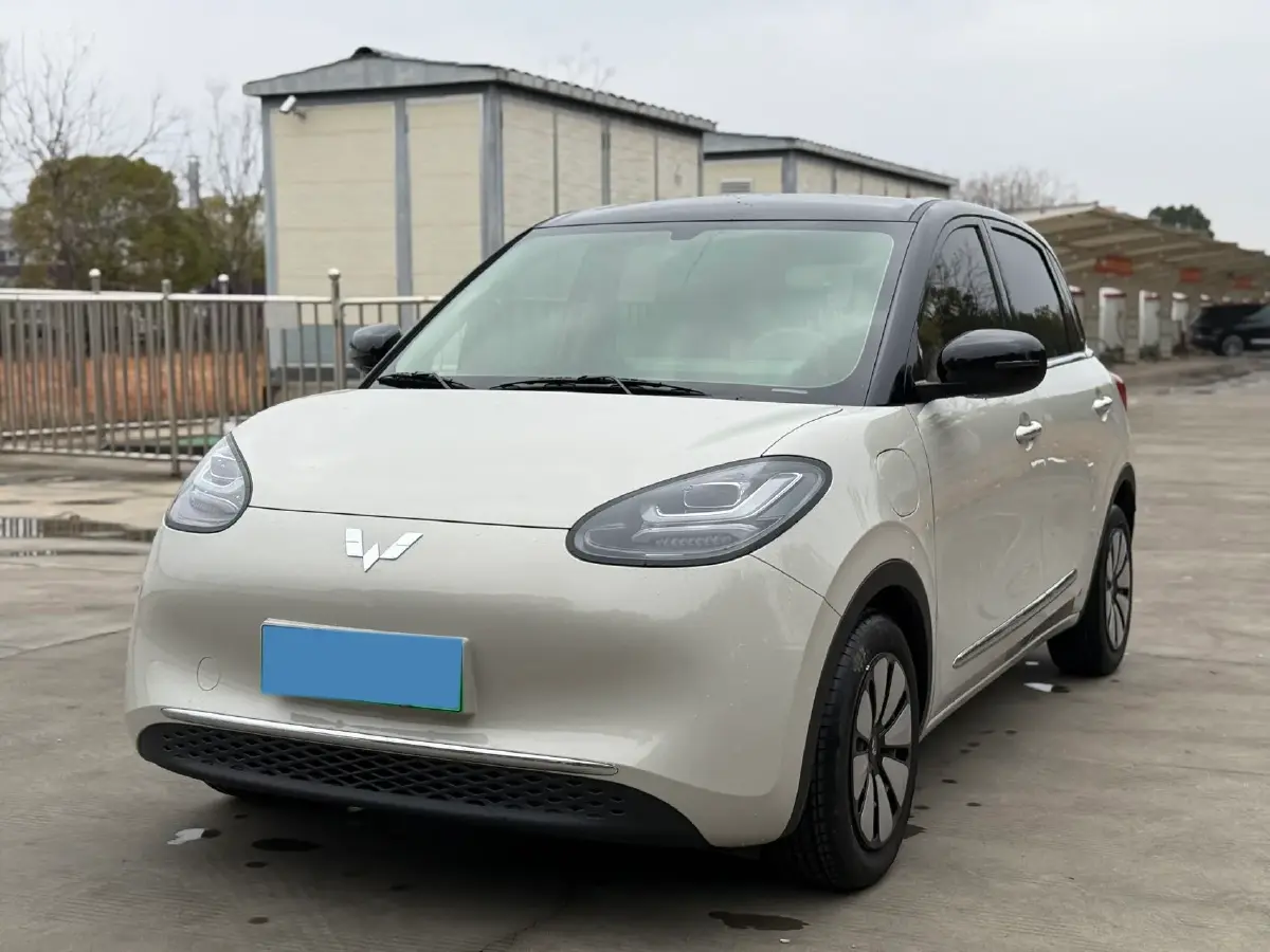 2024 WuLing BinGuo BEV 31.9KWH