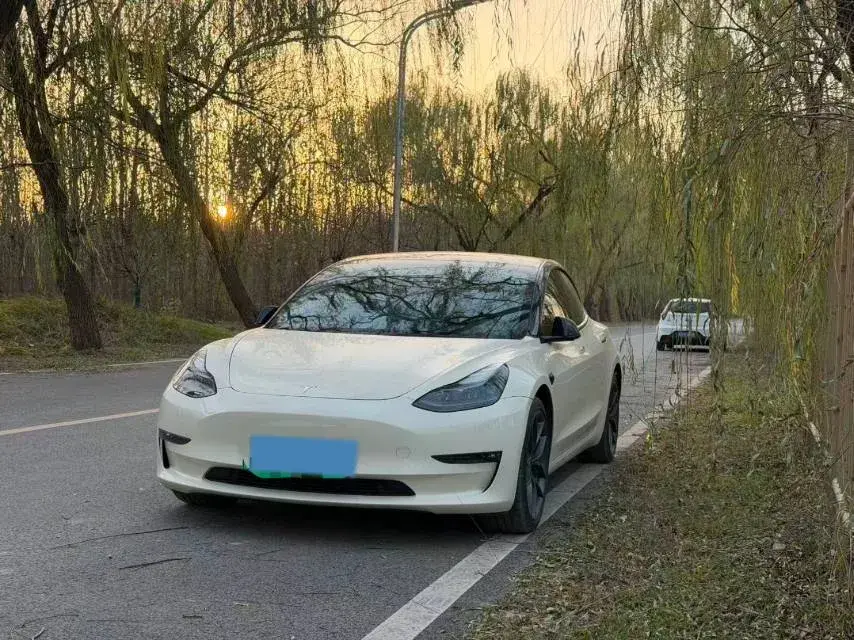 2021 Tesla Model 3 BEV 76.8KWH