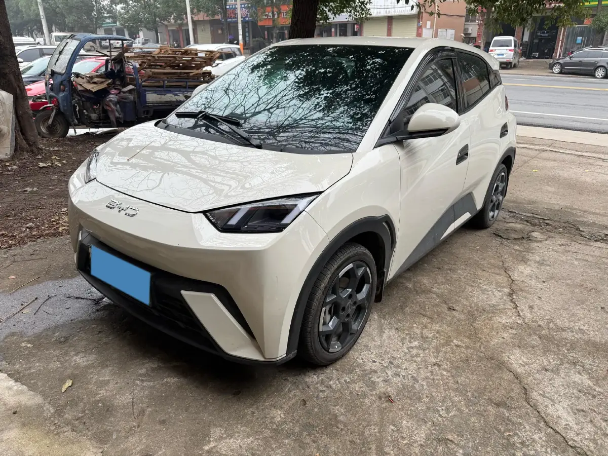 2024 BYD Seagull BEV 30.08KWH