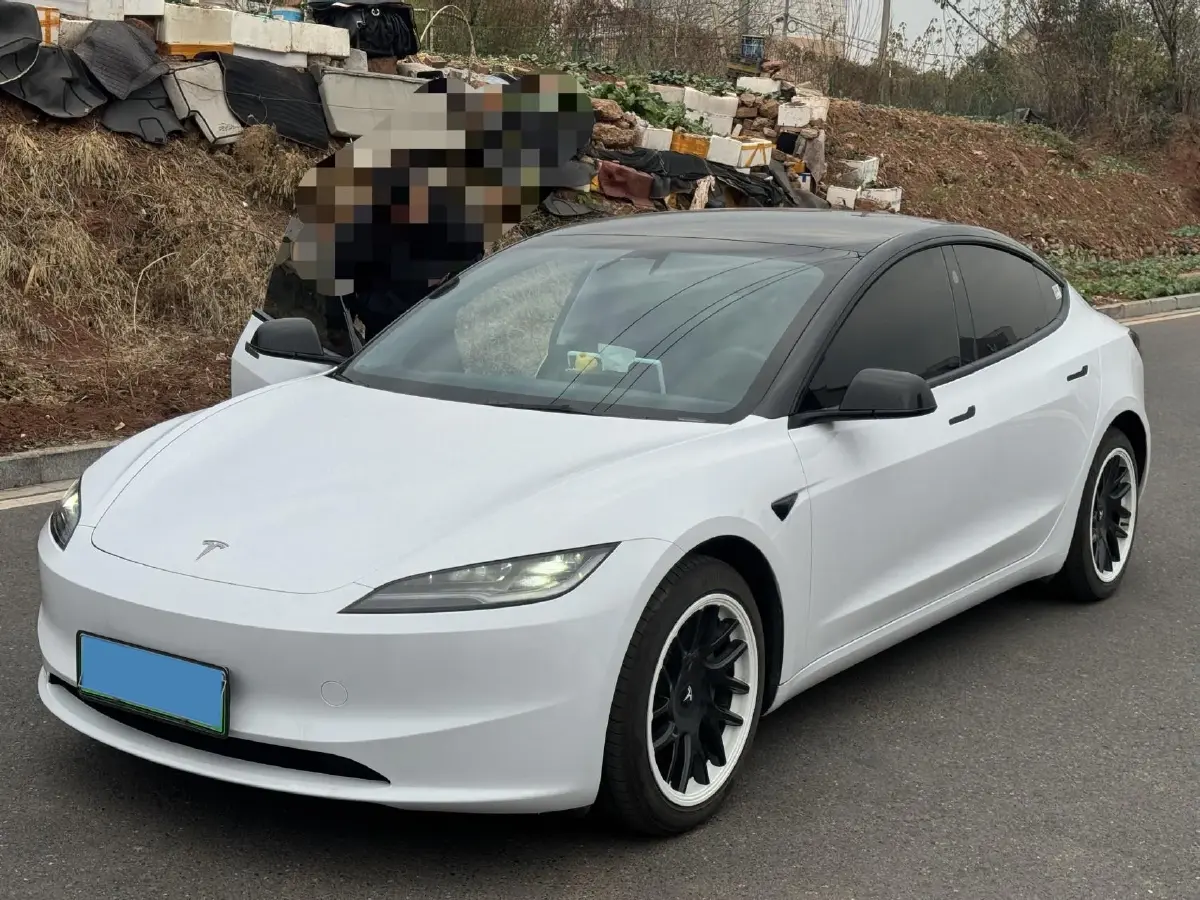 2025 Tesla Model 3 BEV