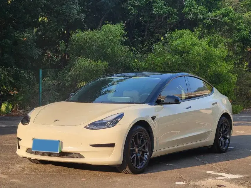 2020 Tesla Model 3 BEV 52KWH