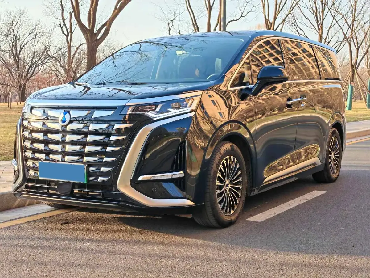 2024 Denza D9 1.5T 139HP L4 E-CVT PHEV 40KWH