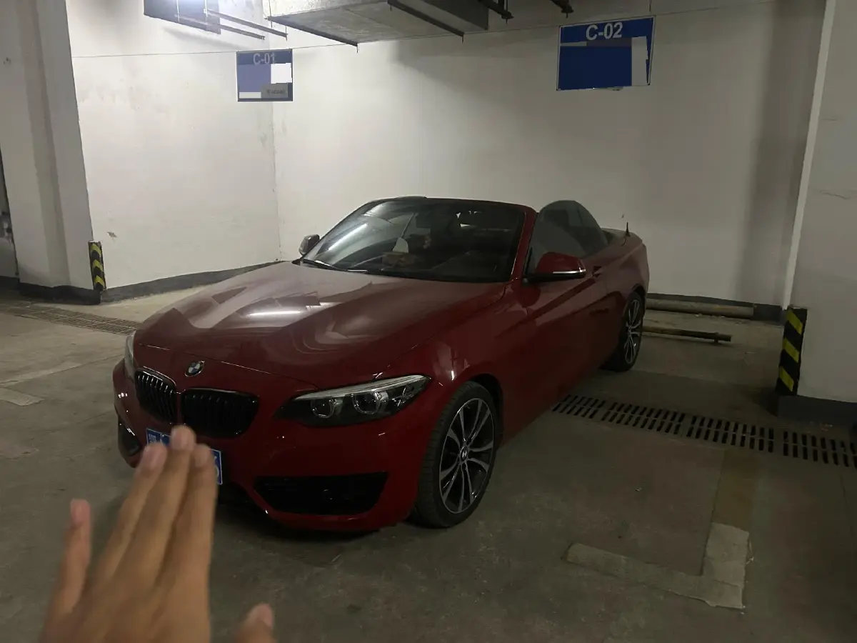 2019 BMW 2 Series 2.0T 184HP L4 8AT