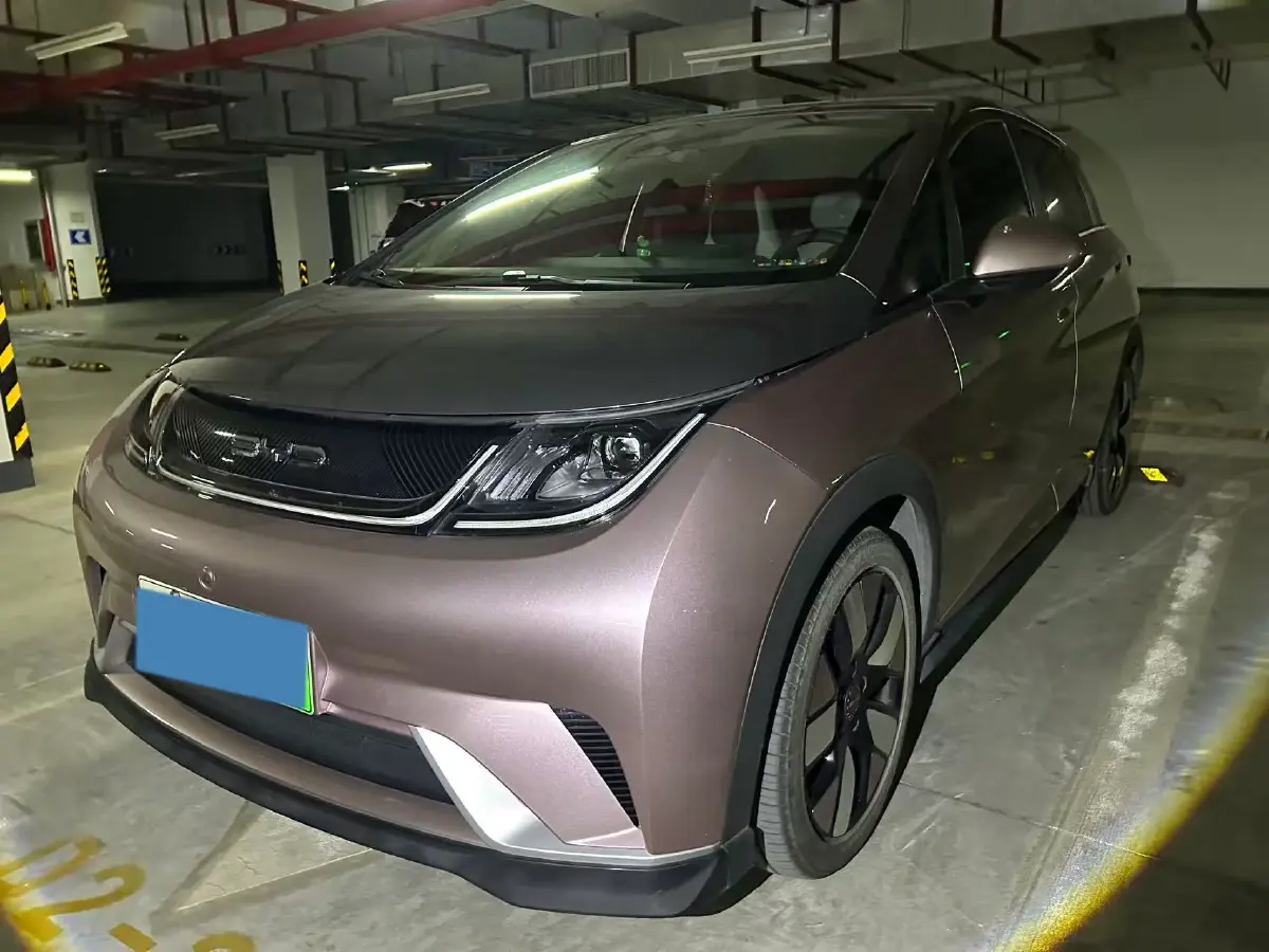 2021 BYD e2 BEV 43.2KWH