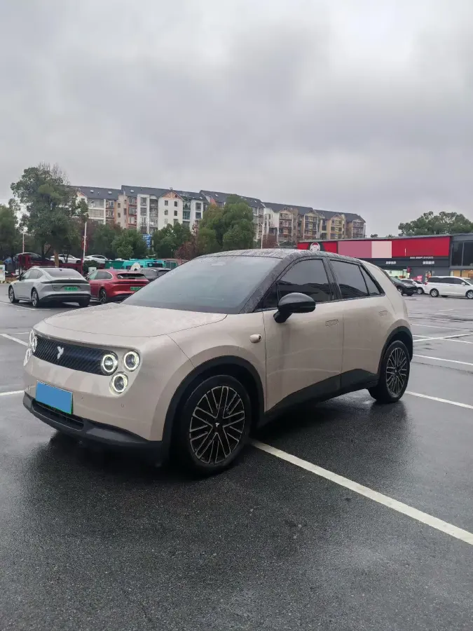 2025 Firefly Firefly BEV