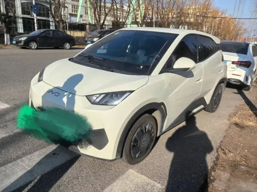 2025 BYD Seagull BEV 30.08KWH