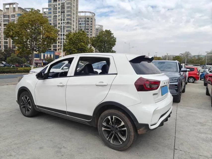 2021 Geometry EX3 BEV 37.23KWH,autocango,china used car exporter,china ev exporter,chinese used car exporter,chinese used ev exporter