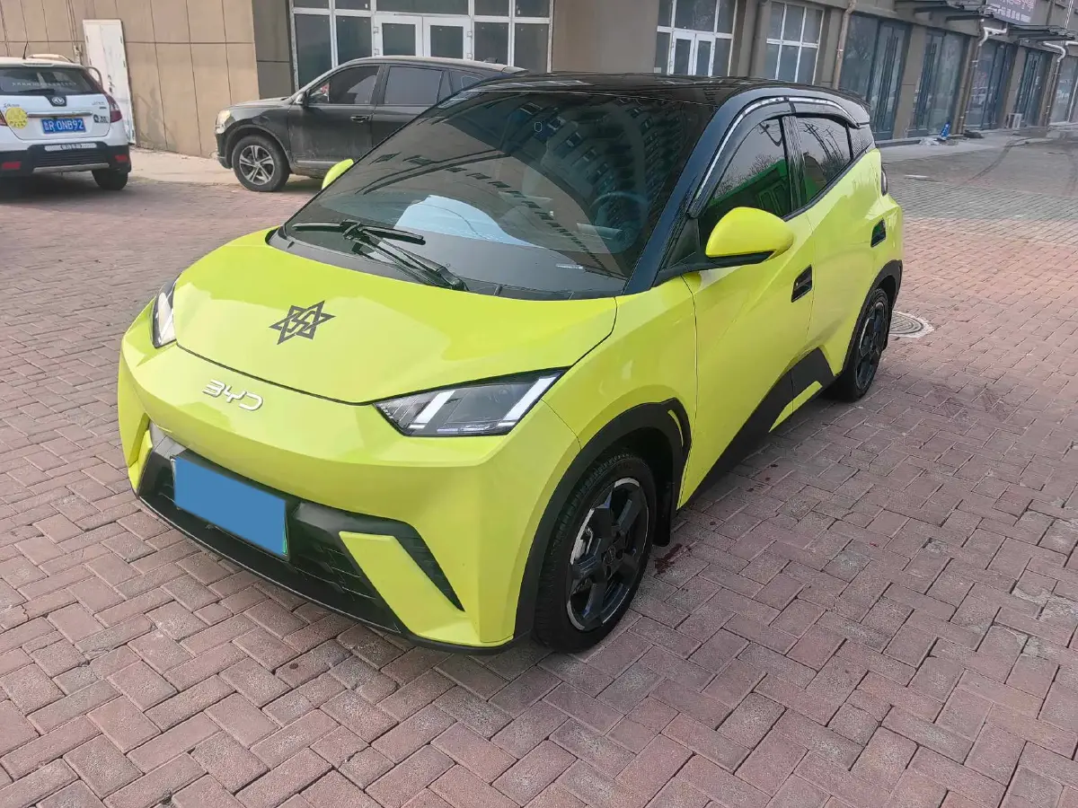 2023 BYD Yuan Pro BEV 38KWH