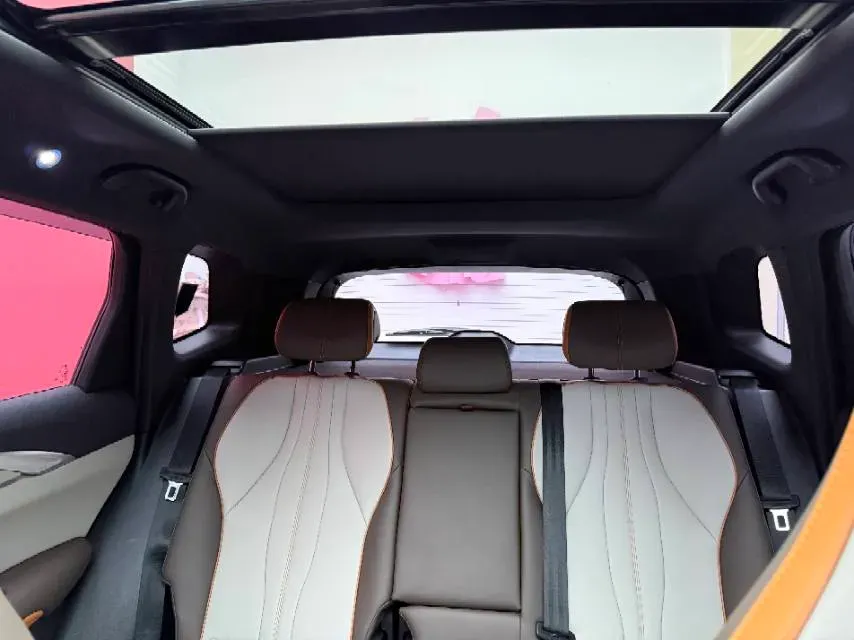 2022 Ruichi Auto EC31 BEV 41.932KWH,autocango,china used car exporter,china ev exporter,chinese used car exporter,chinese used ev exporter